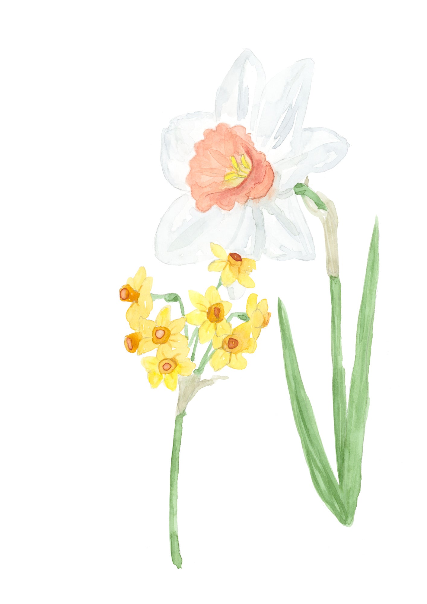 Daffodil Original Artwork