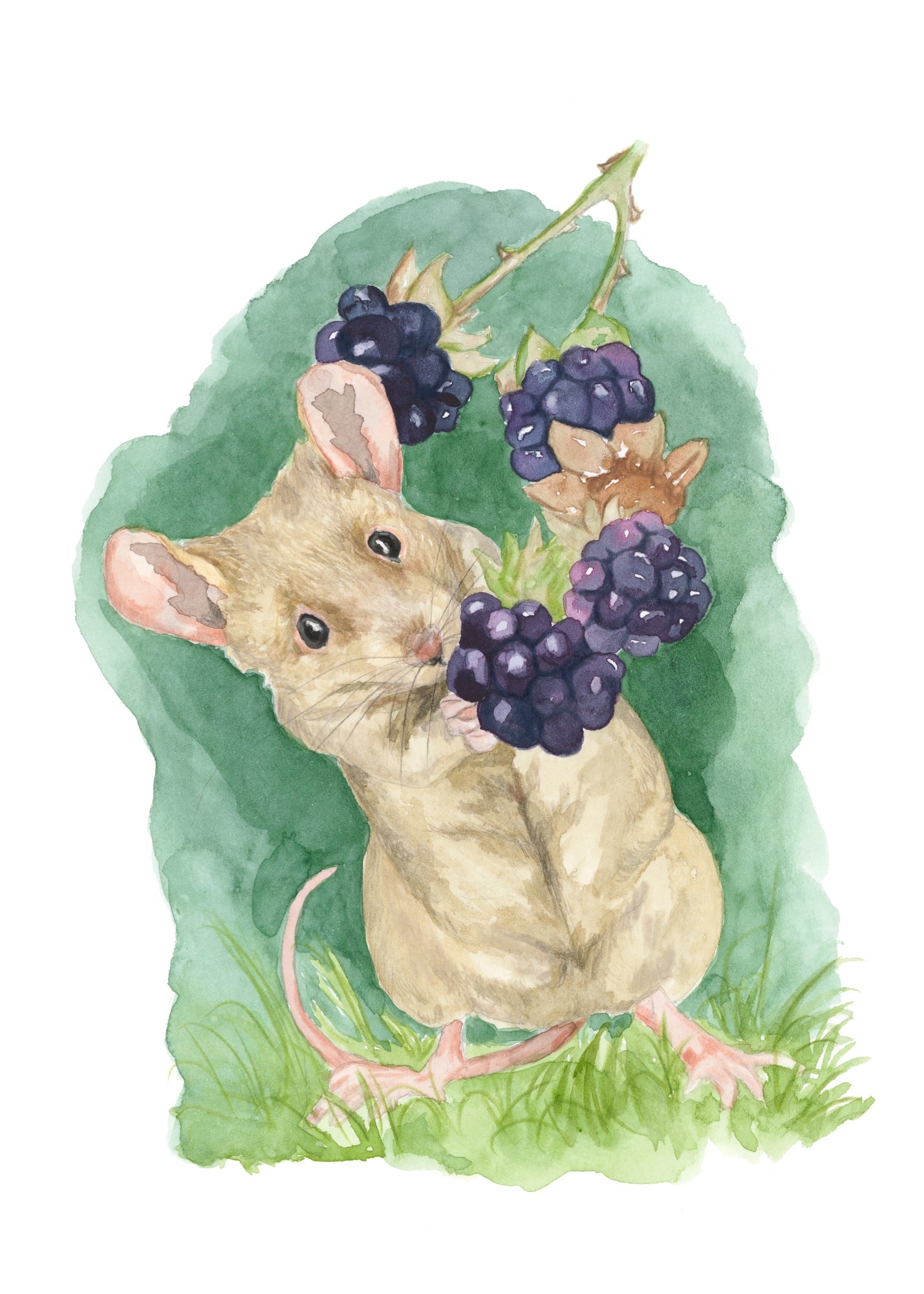 Little Mouse Original Artwork