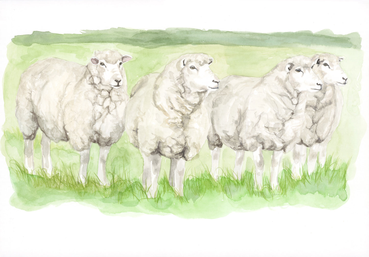 Sheep Original Artwork