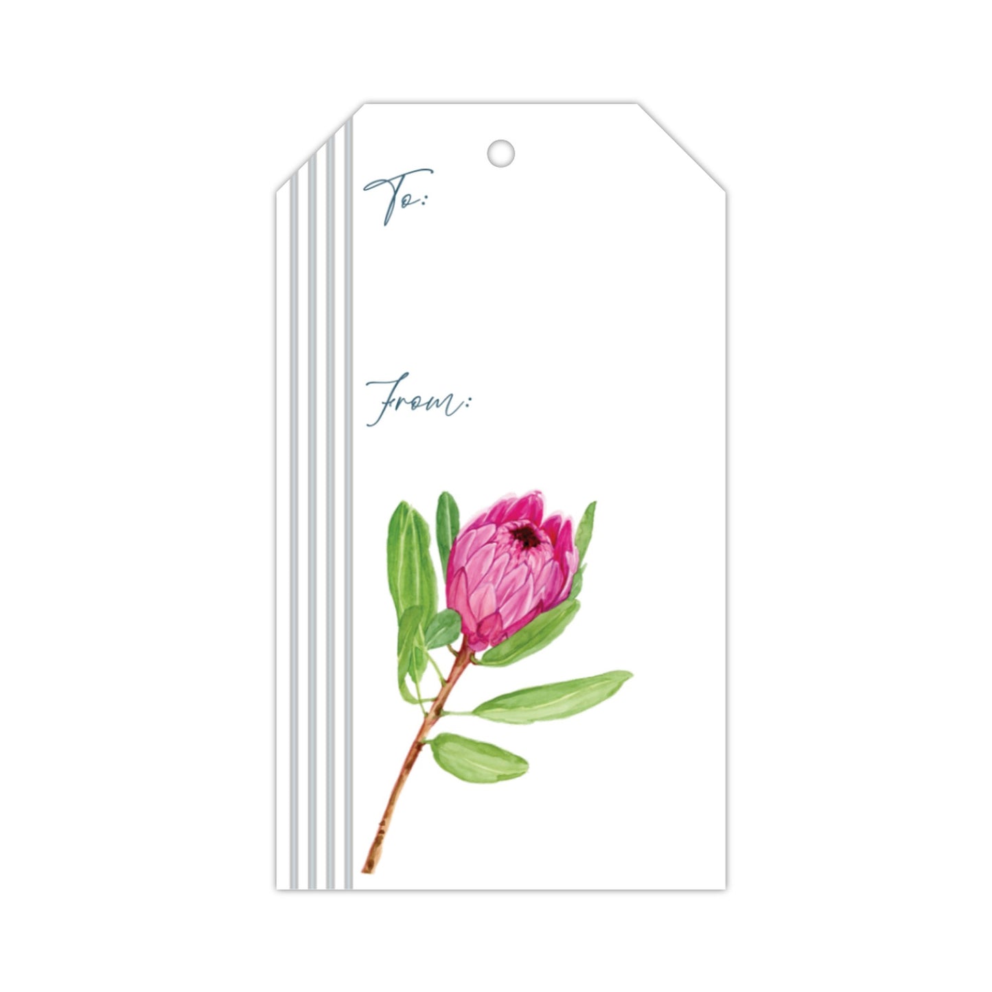 Gardeners Collection Gift Tags- pack of 10