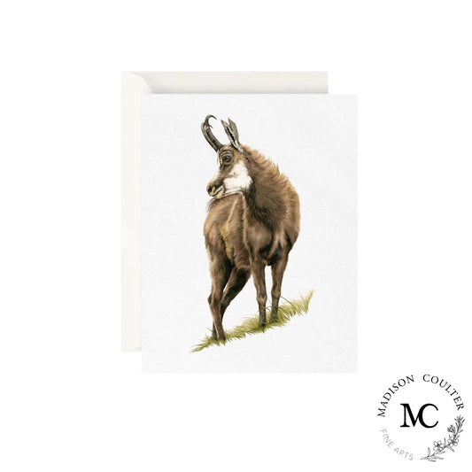 Greeting Card- Chamois