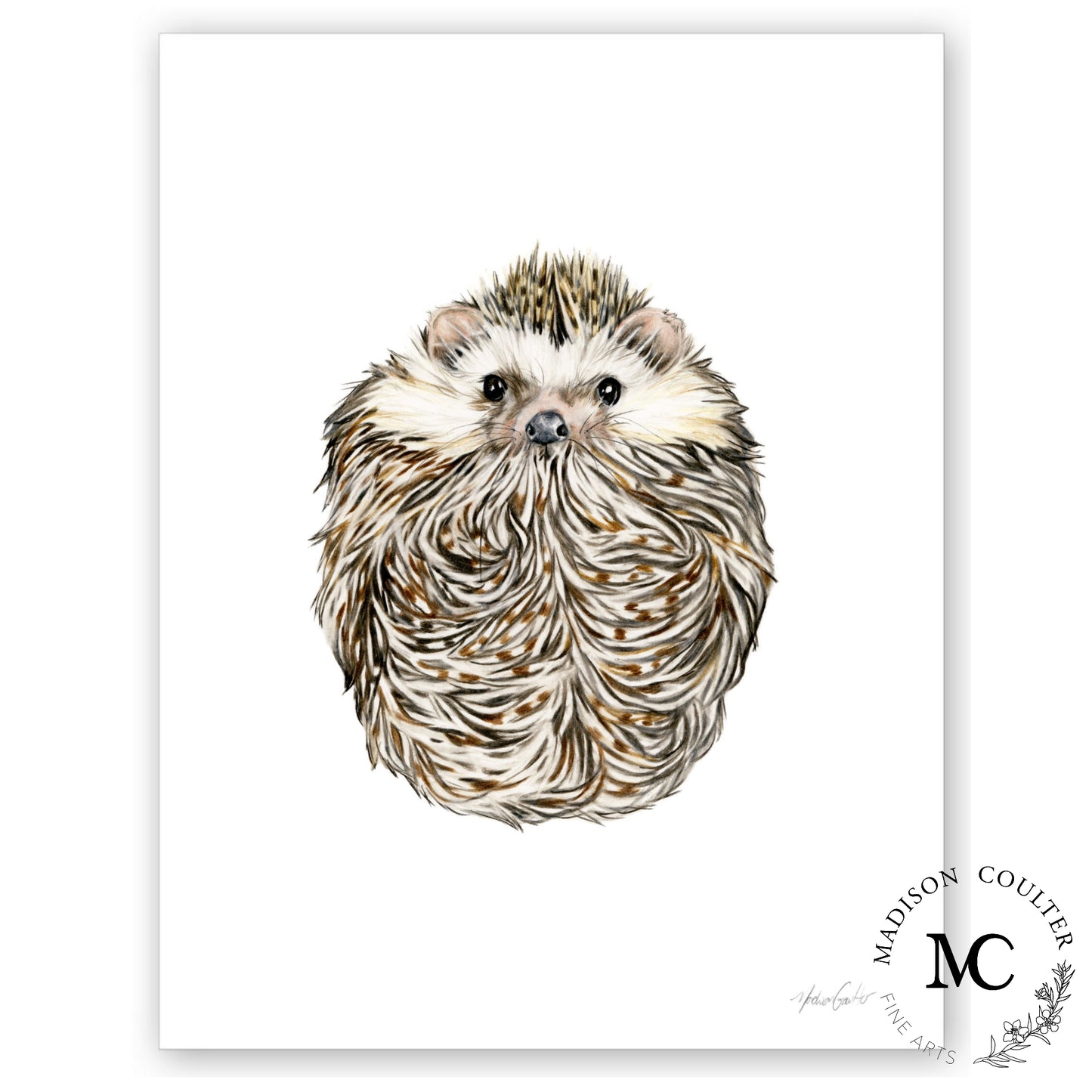 Huckleberry Hedgehog