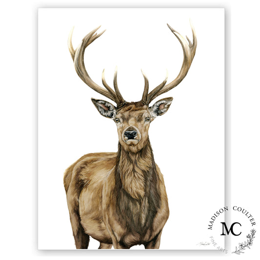 Red Stag