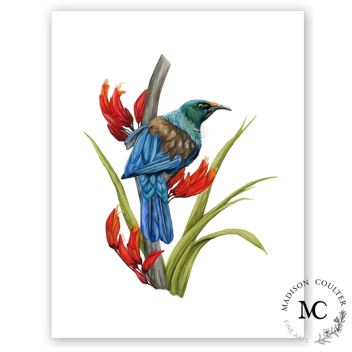 Tui