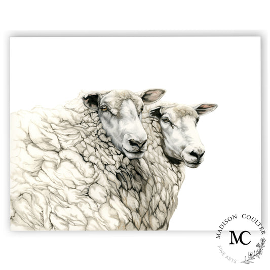 Portrait of Sheep