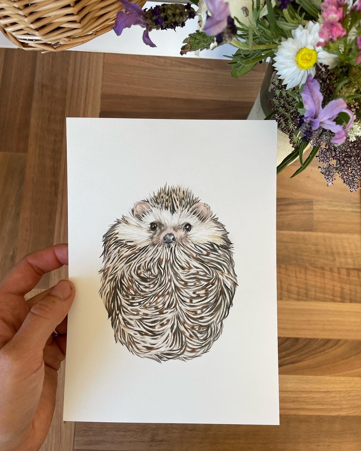 Huckleberry Hedgehog