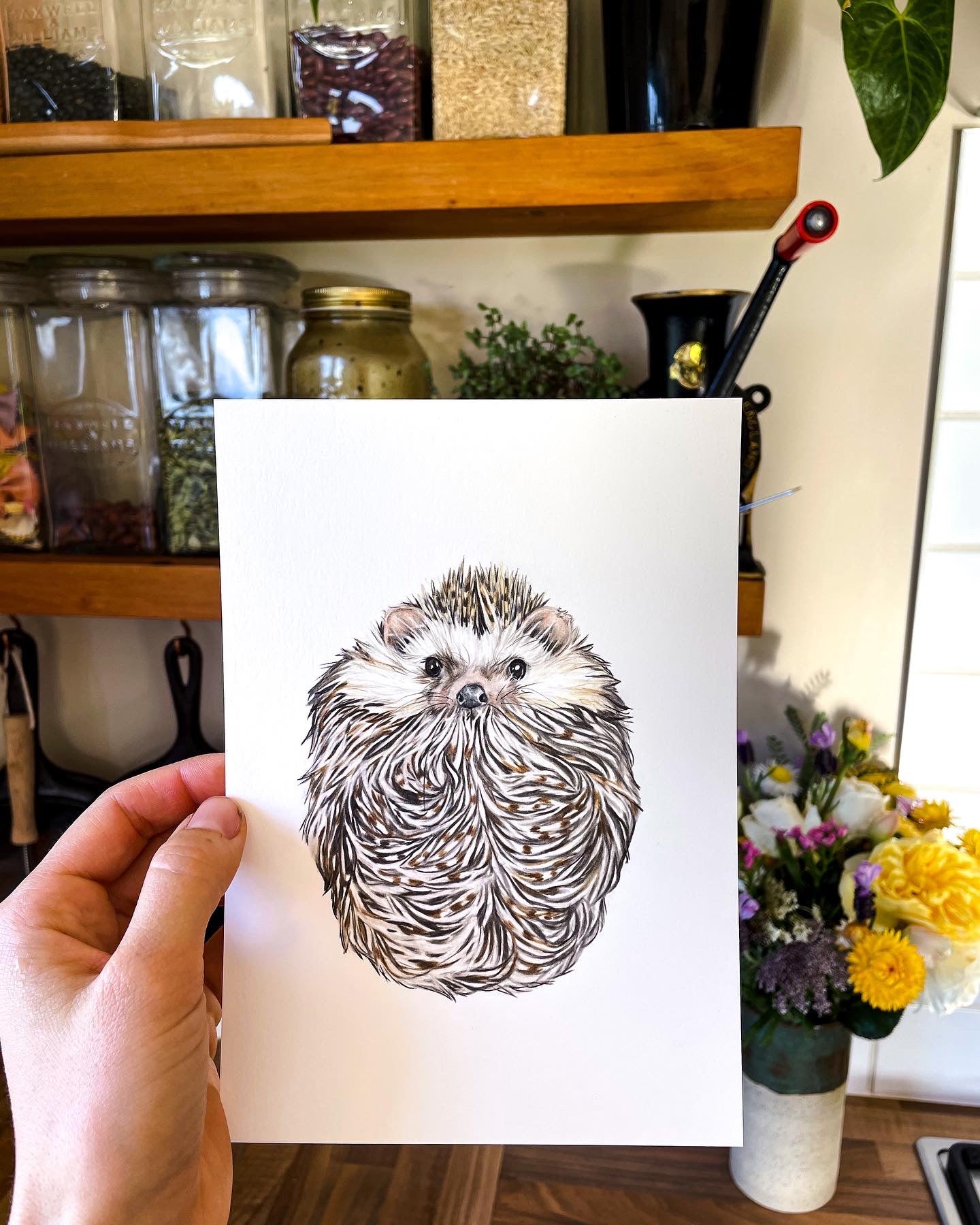 Huckleberry Hedgehog