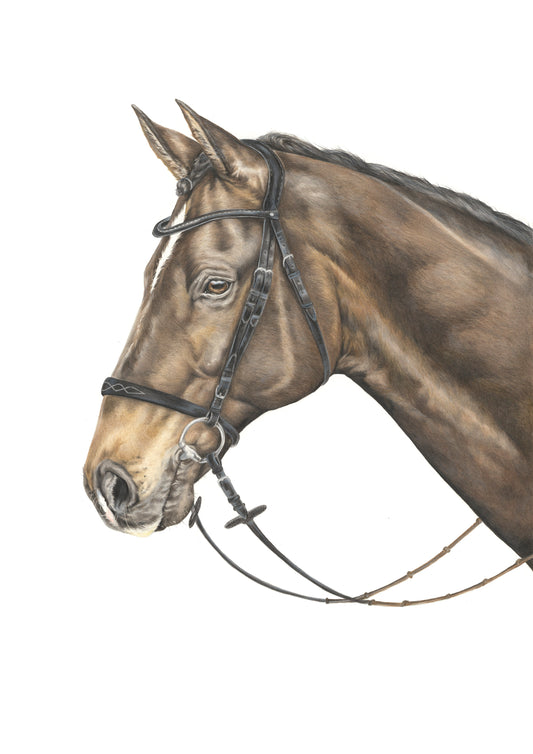 Horse Print