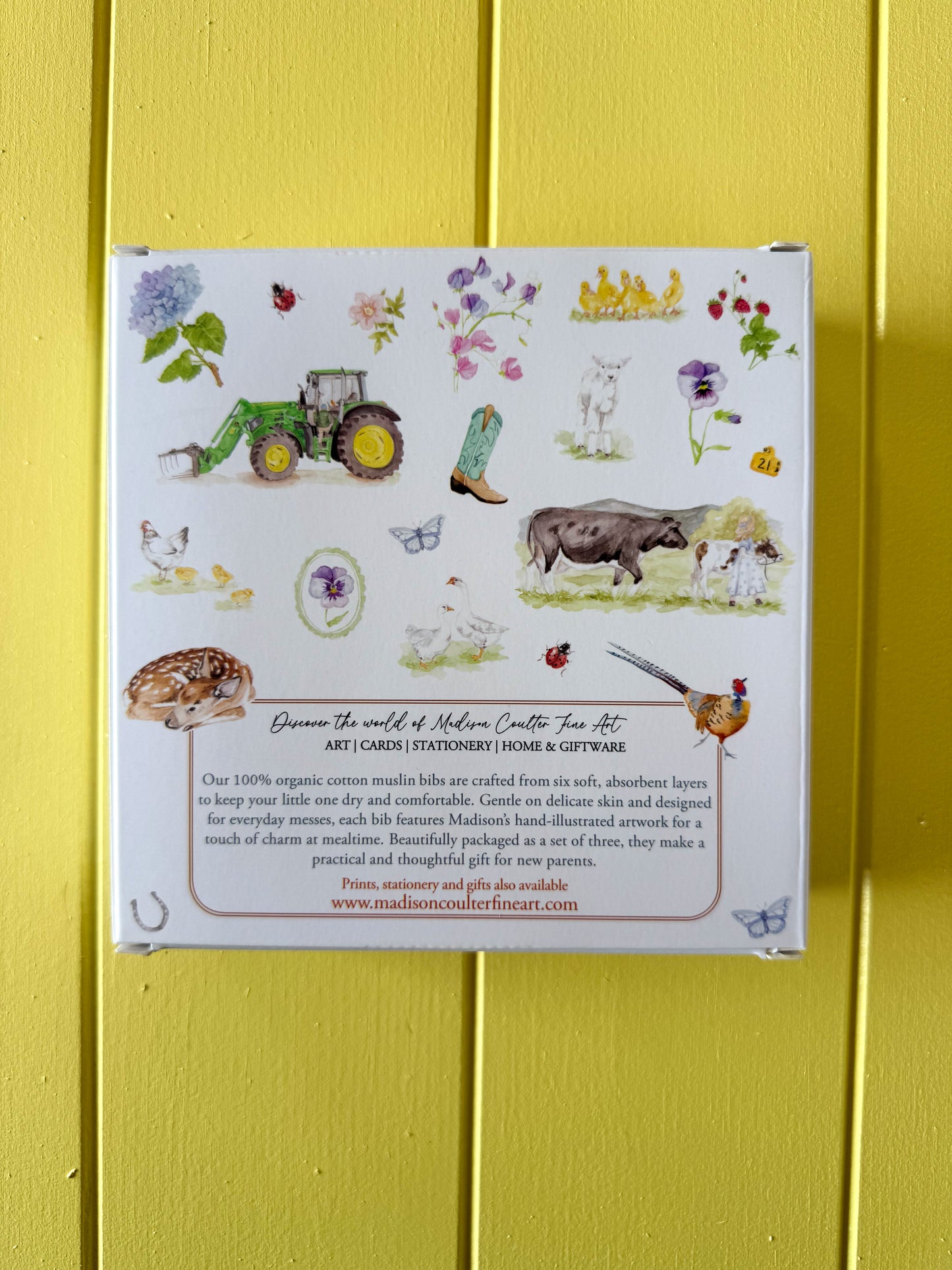 Cotton Muslin Baby Bib Set