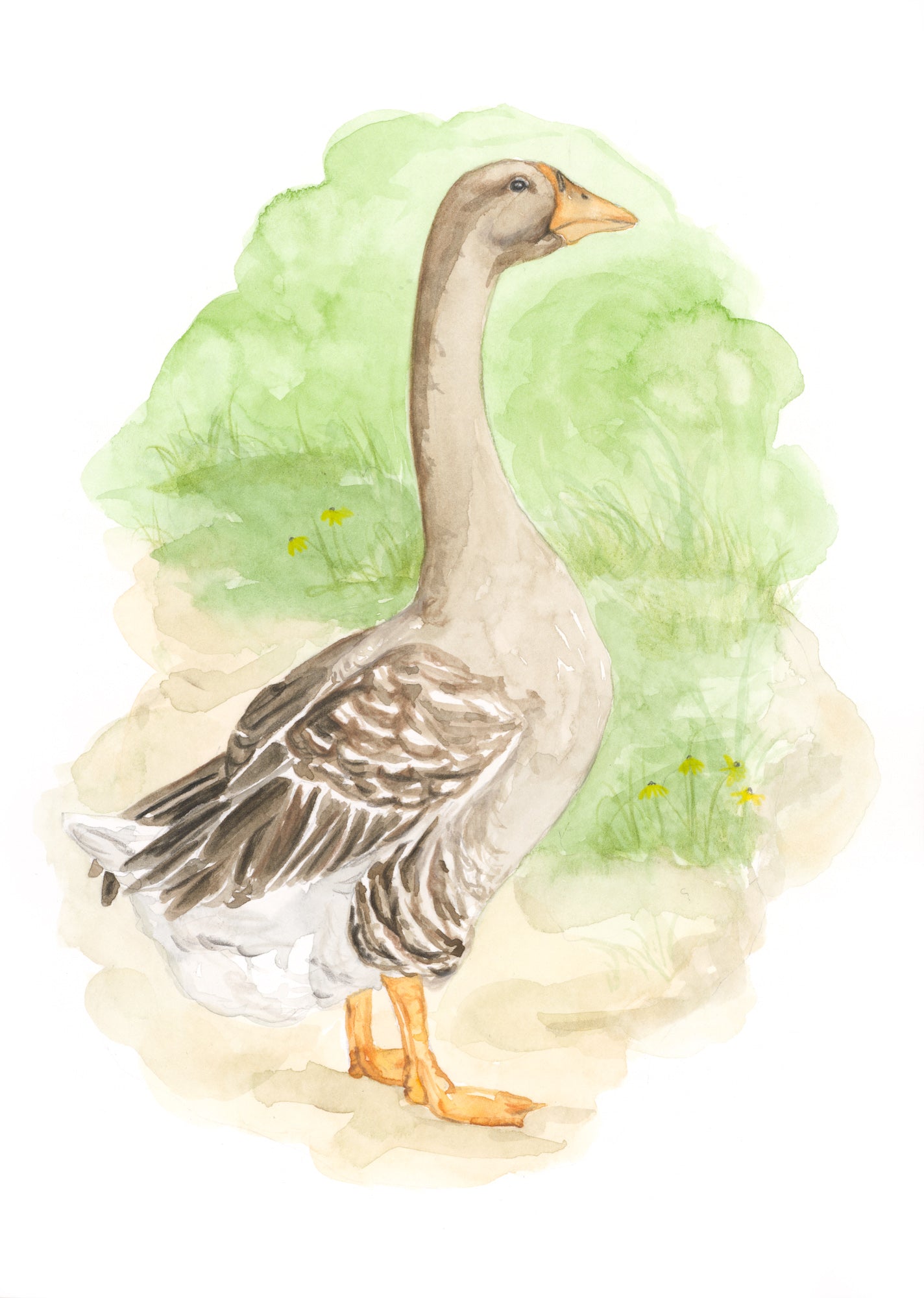 Goose Original Artwork