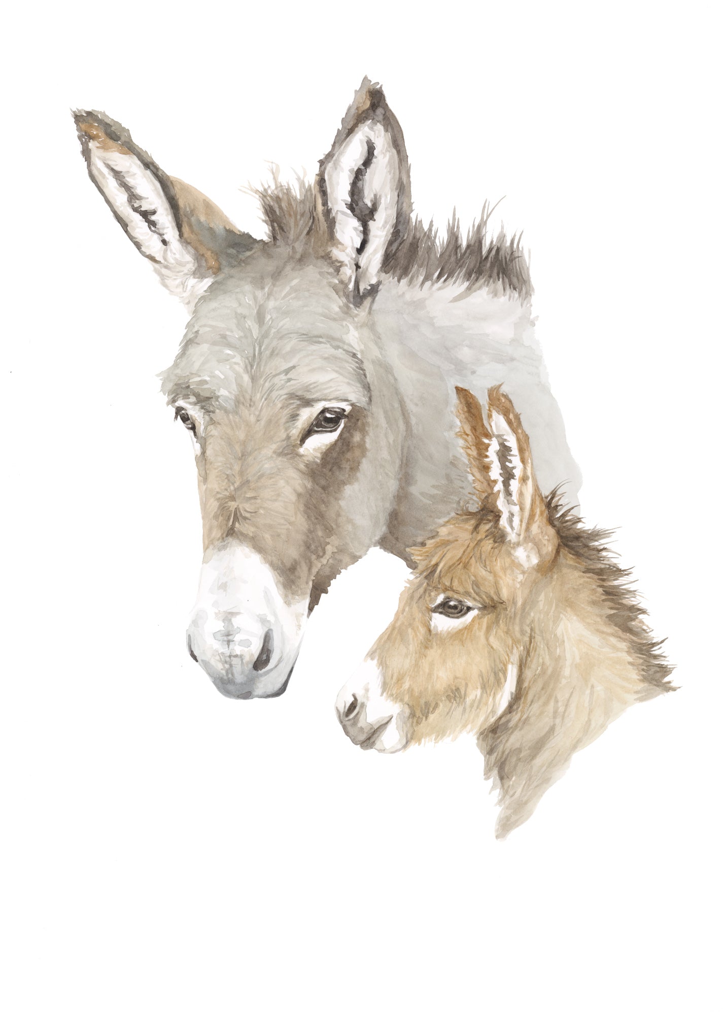 Donkeys Original Artwork