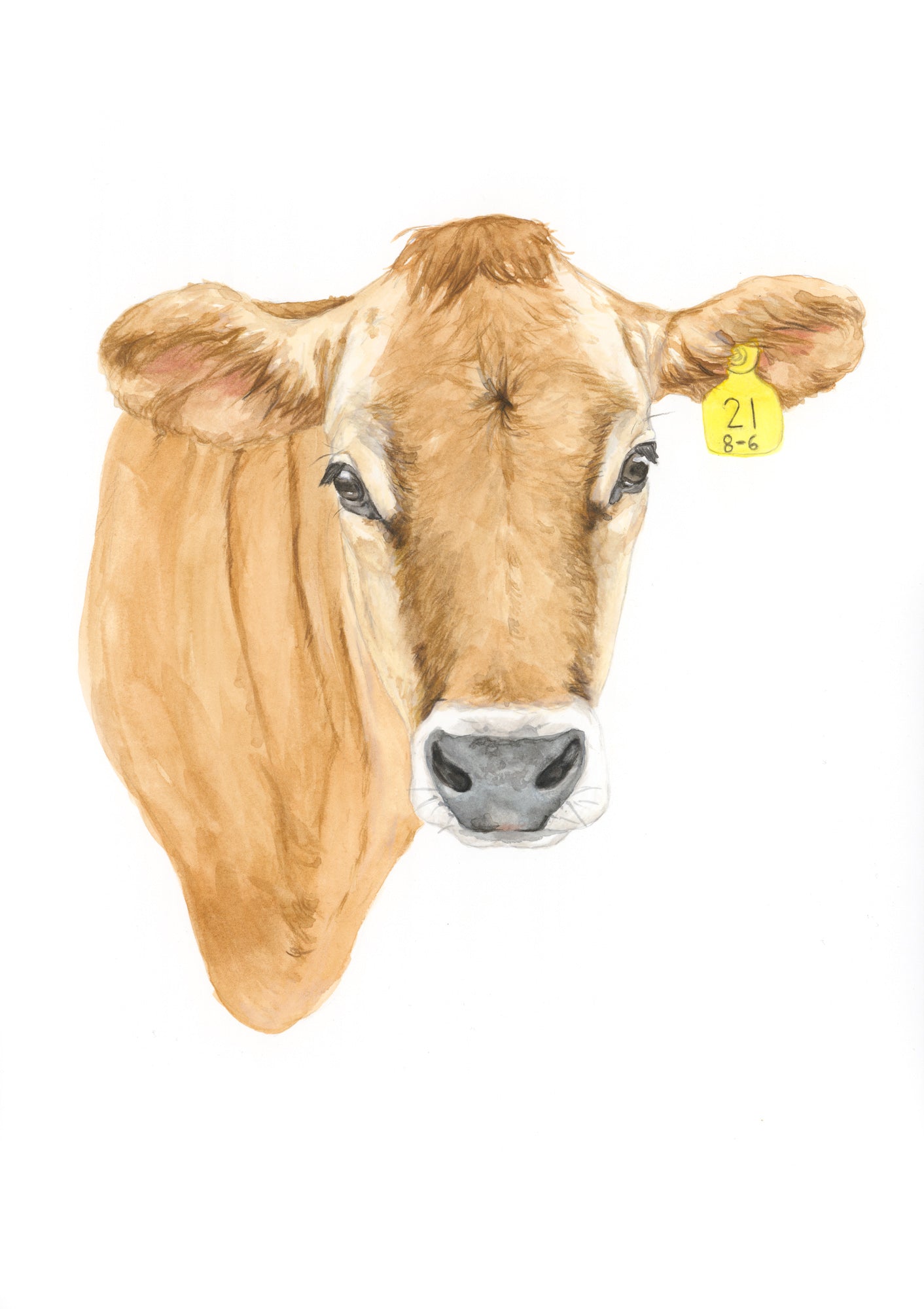 Jersey Cow Original Artwork