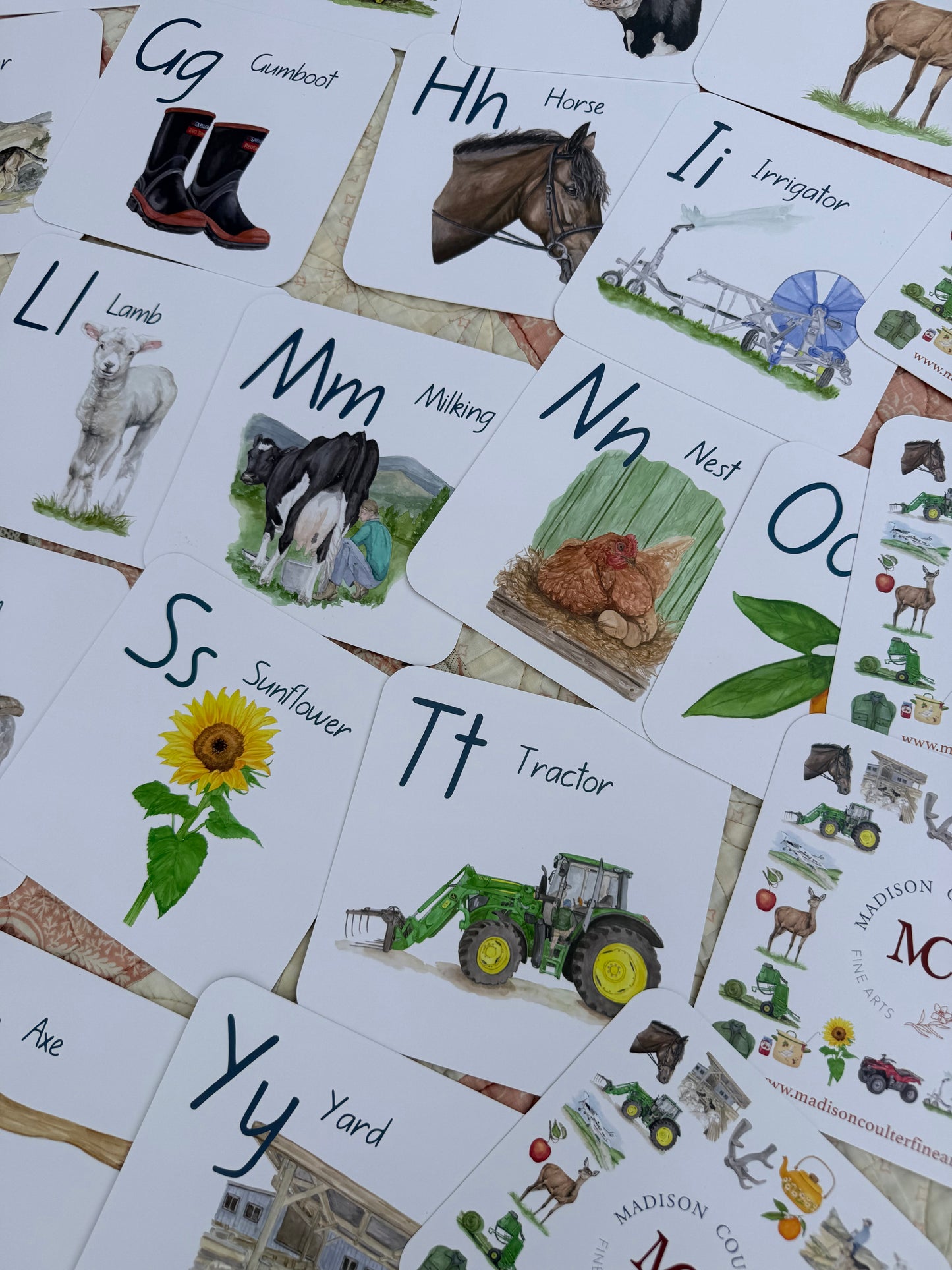 Farm Life ABC,123 Flash Cards