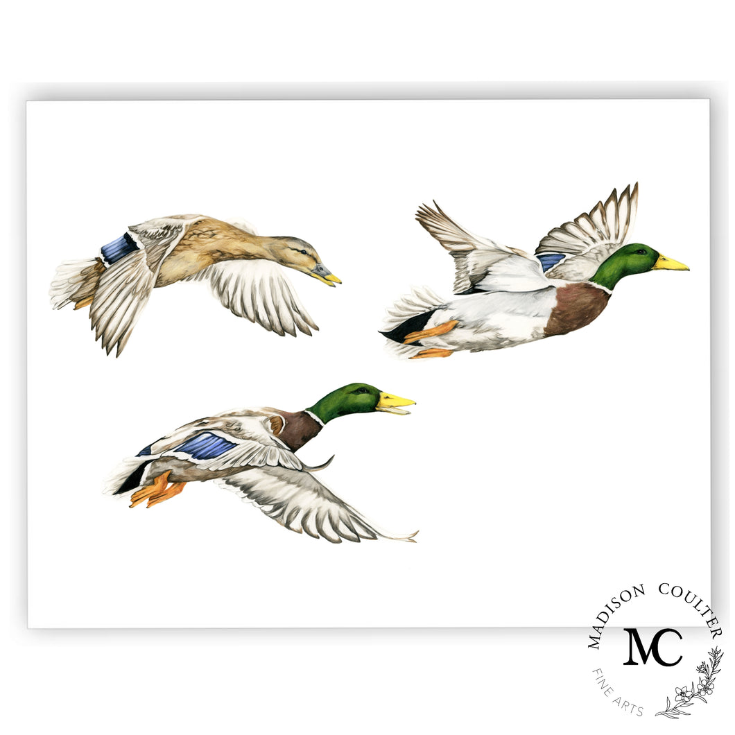 Flying Ducks Limited Edition Print