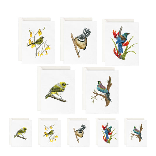 Paquet de cartes de vœux - Oiseaux de Nouvelle-Zélande