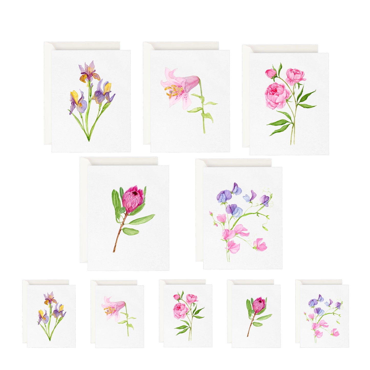 Greeting Card Bundle- Garden