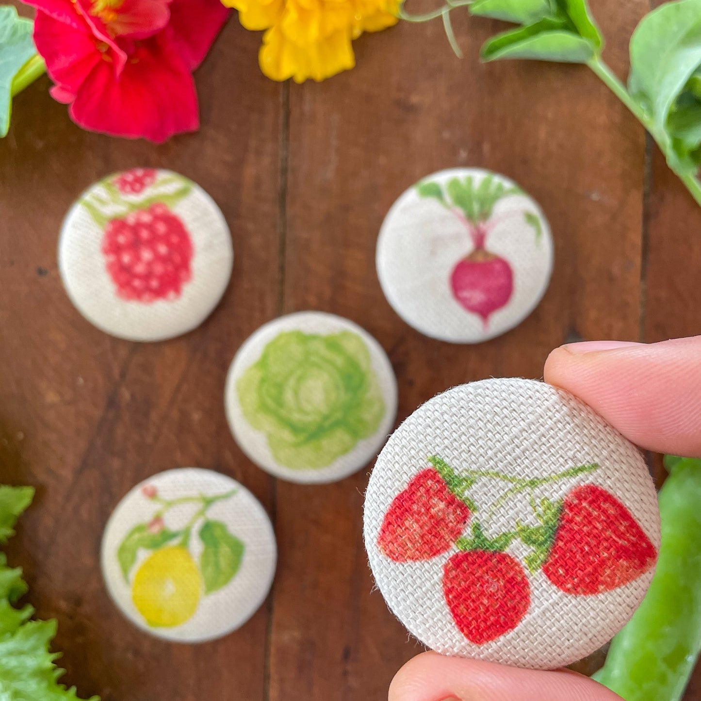 Gardener's Collection Vegetable Fabric Button Magnet Set