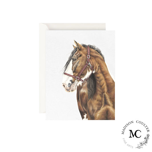 Greeting Card- Clydesdale