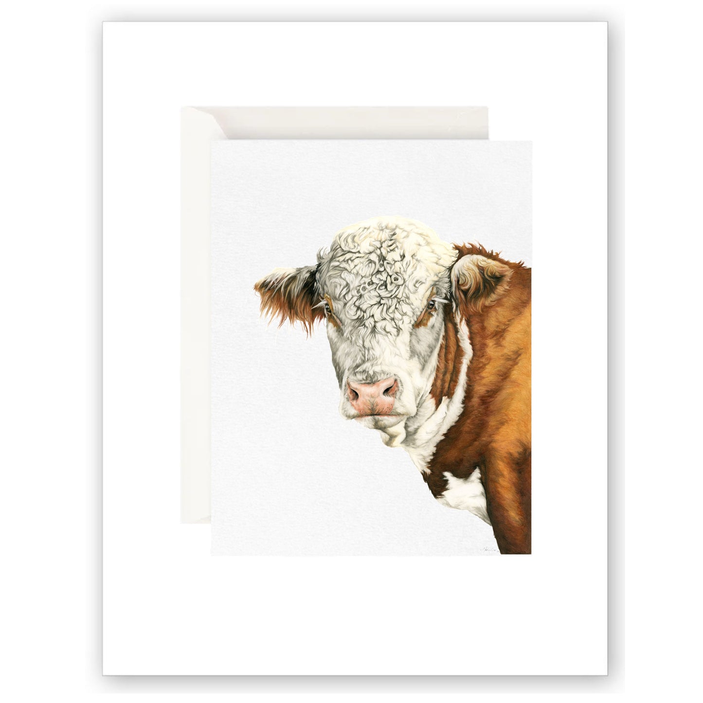 Greeting Card- Hereford