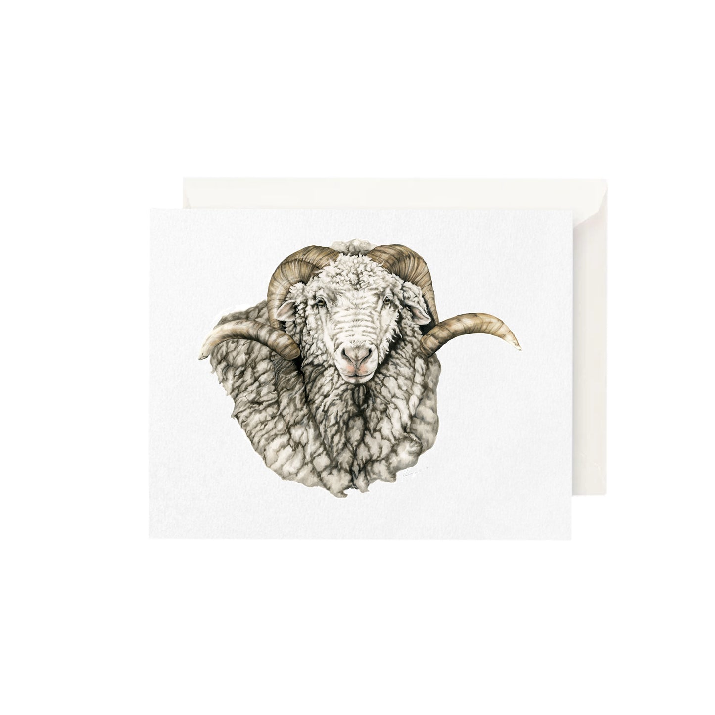 Greeting Card- Merino