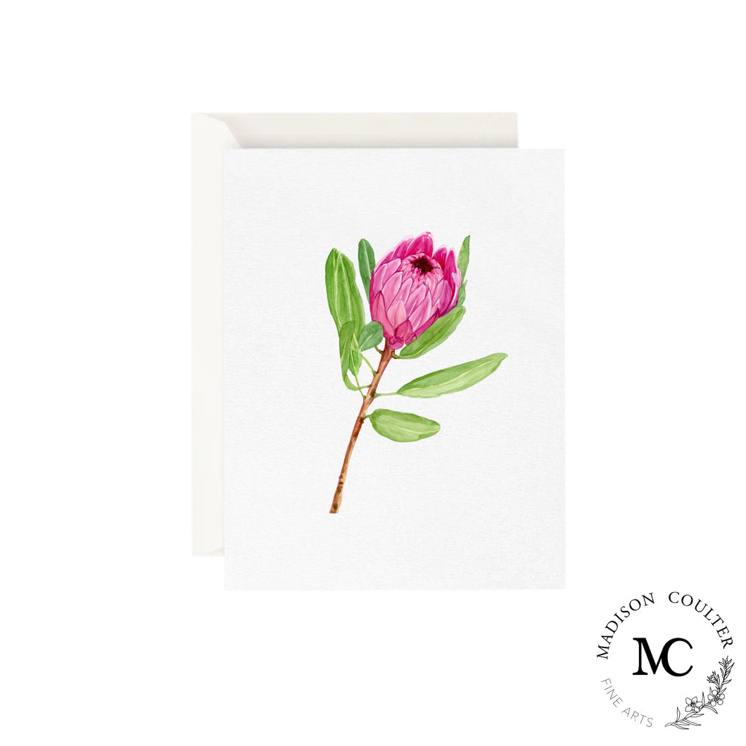 Greeting Card- Protea