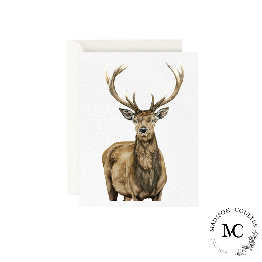 Greeting Card- Red Stag