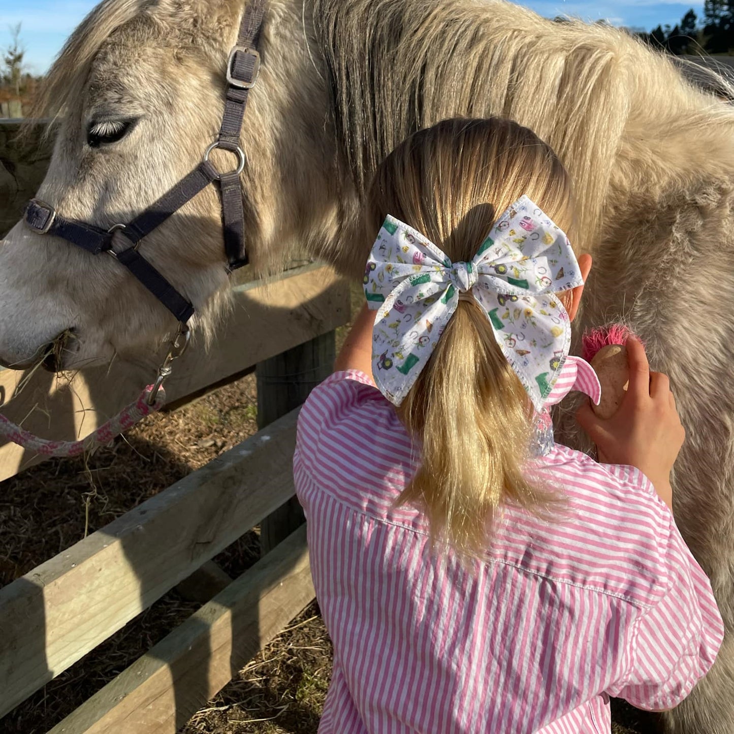 Handmade Big Fable Bow Hair Clip