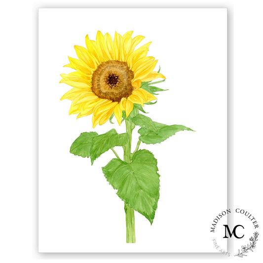 Sunflower Original Artwork