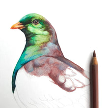 Load image into Gallery viewer, Wood Pigeon Original Artwork
