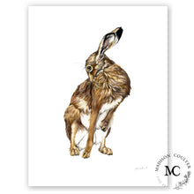 Load image into Gallery viewer, Hare
