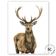 Load image into Gallery viewer, Red Stag
