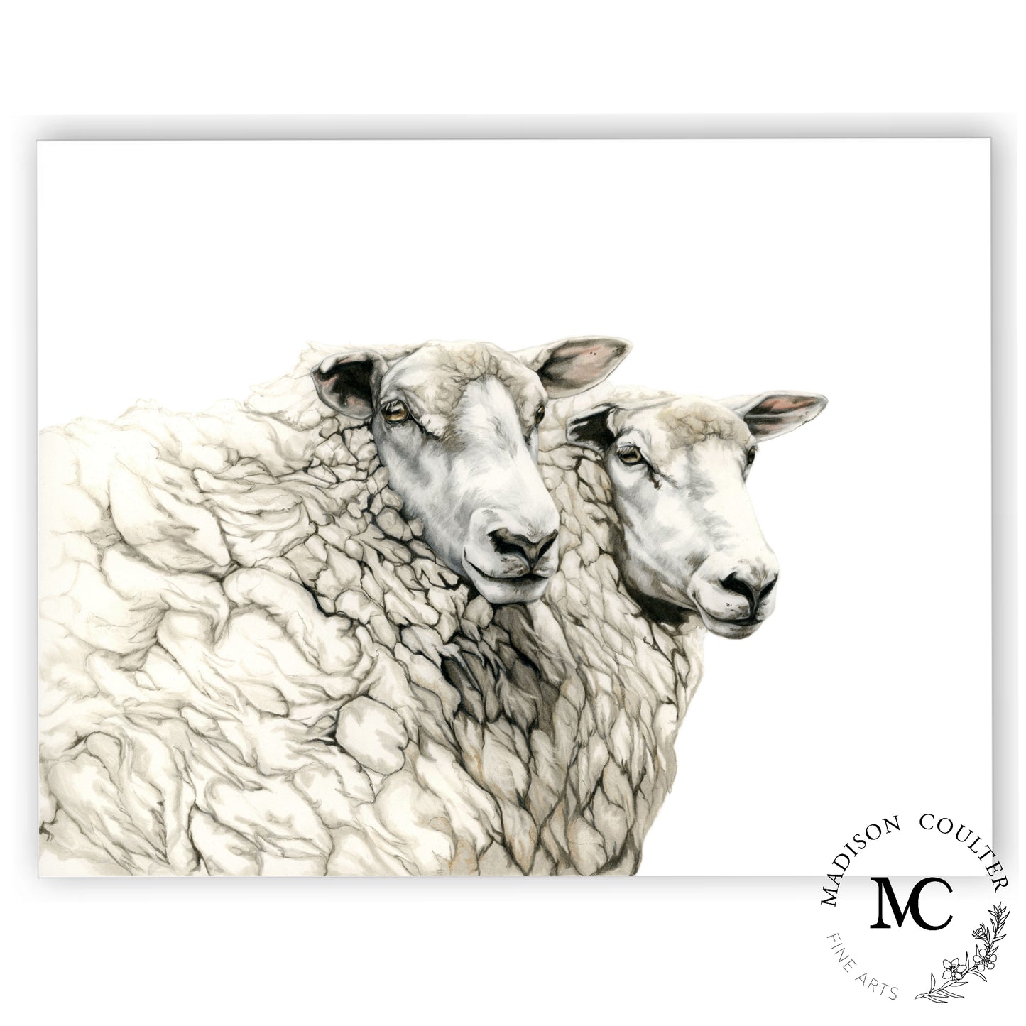 retrato de oveja