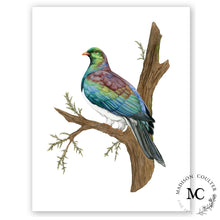 Load image into Gallery viewer, Wood Pigeon

